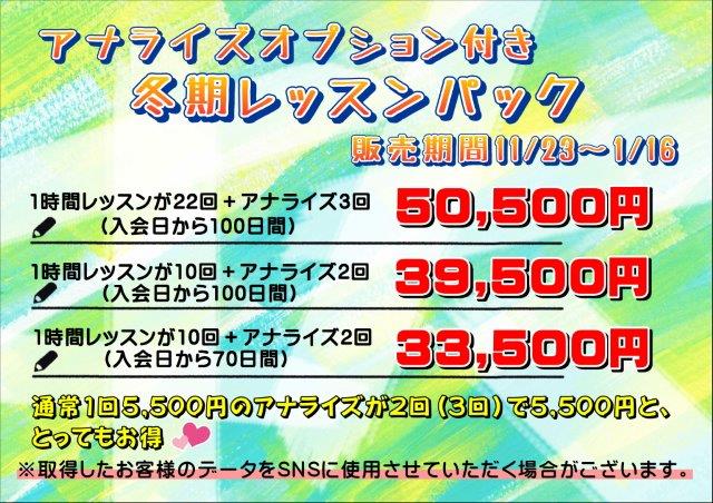 3回仕様 その他オプション付き アナライズ オプション付き 冬季 